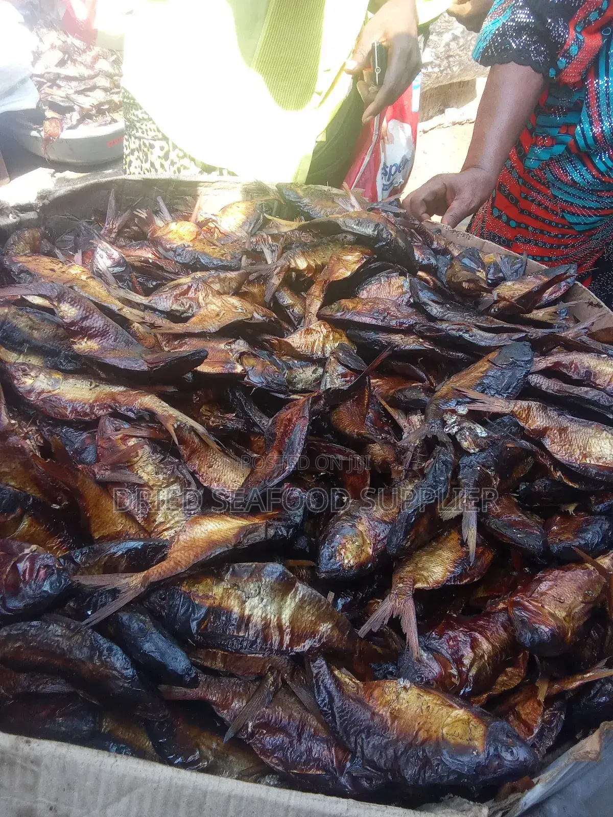 Dried Bonga Fish