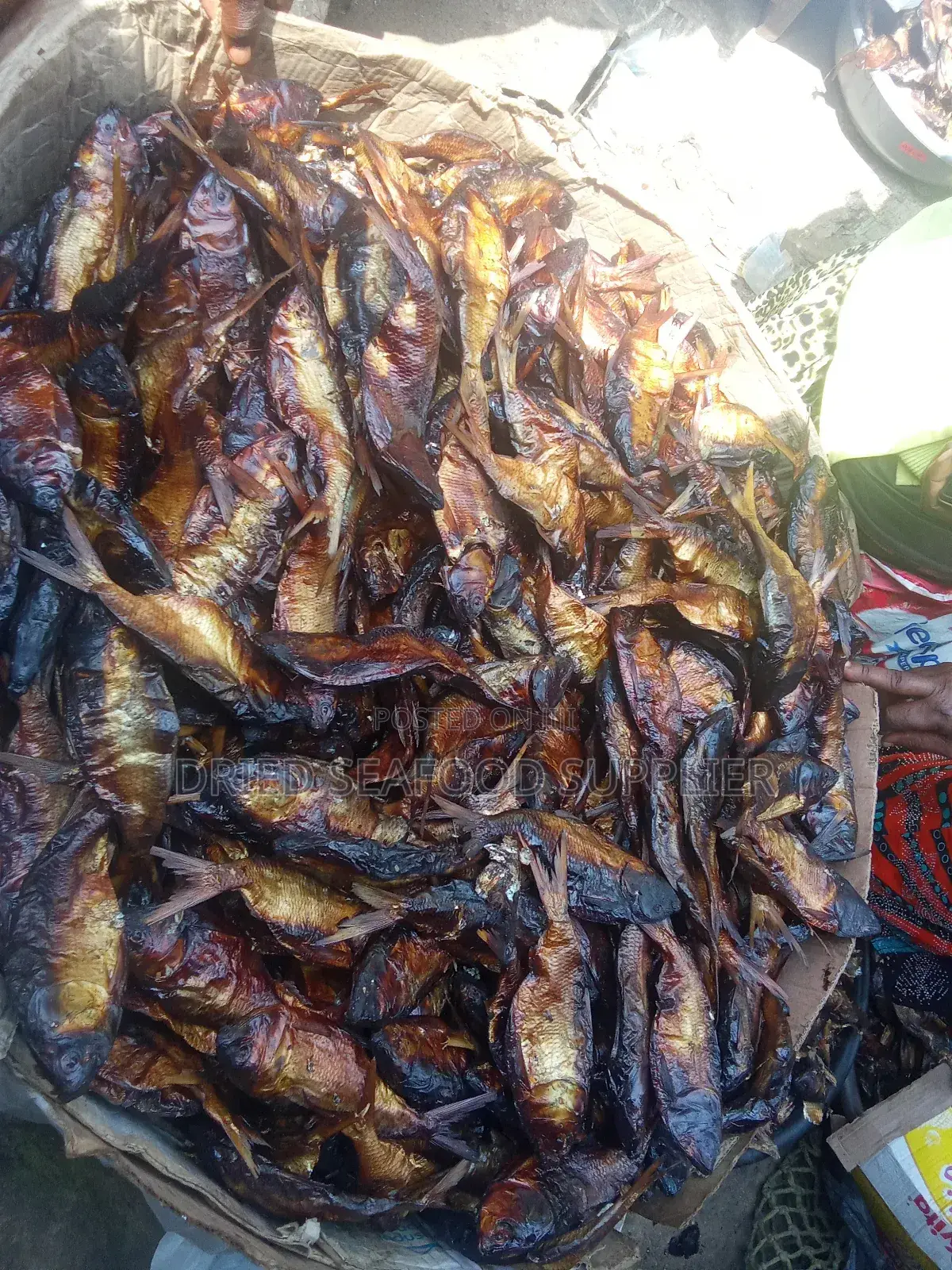 Dried Bonga Fish