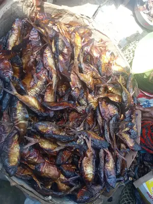 Dried Bonga Fish