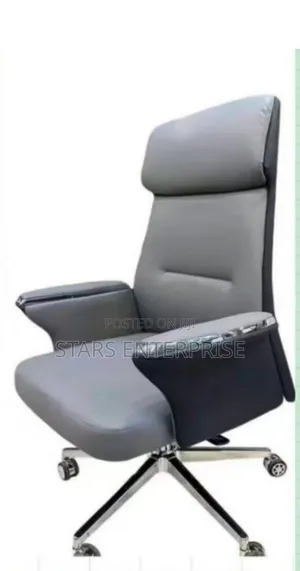 Office Chair / Director's Chair