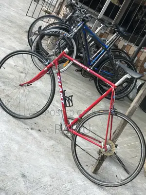 Bicycle Sports