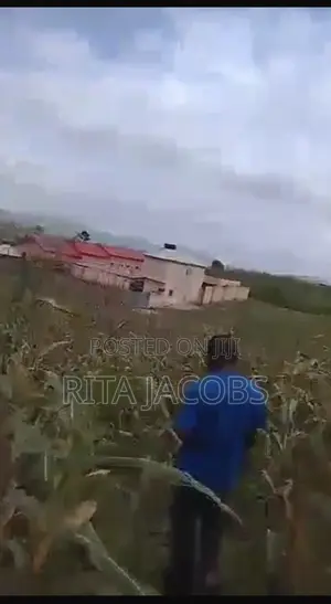 3.8 Hectares of Land at Anagada