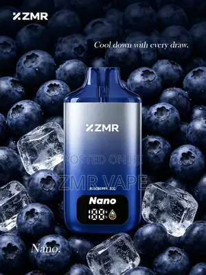 ZMR-Sweet Blueberry Ice Vape- Long Lasting Type-C Rechargeable