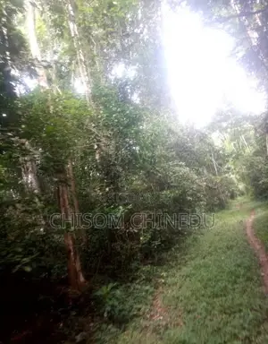 300 Plots of Land for Sale After Abam‎. Oyigbo Lga