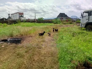 6 Plots of Land of Dry Land at Ijedodo Close to Jakande Estate Isolo
