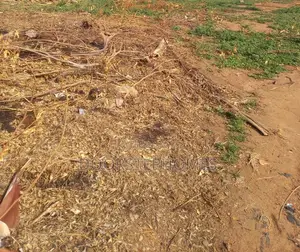1109.39sqm Residential Land for Sale in Dape