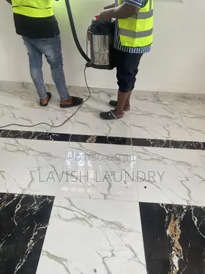 Professional House Cleaning and Pest Control Lagos