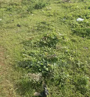 696.75sqm Residential Land for Sale in Mabushi