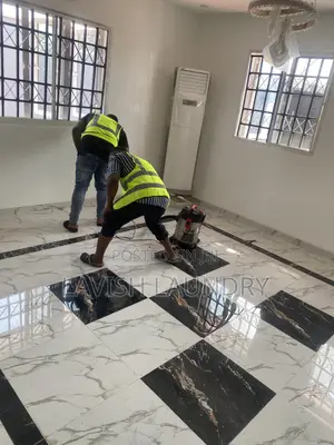 Quality House Cleaning and Mosquito Fumigation Lagos