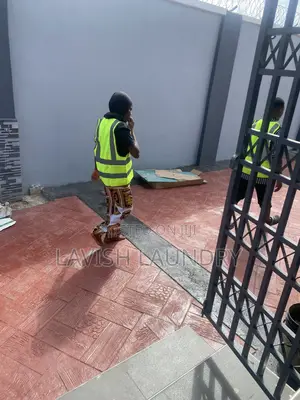 Complete House Cleaning and Rodent Control Lagos