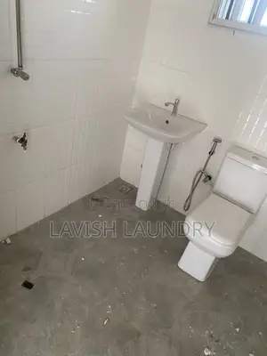 Professional House Cleaning and Termite Fumigation Lagos