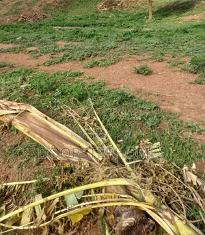 751.20sqm Residential Land for Sale in Katampe