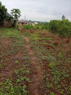 Half Plot of Land Totowu Ogun State Ado Odo Area