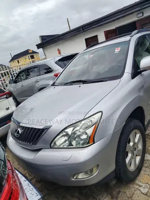 Lexus RX 2009 Silver