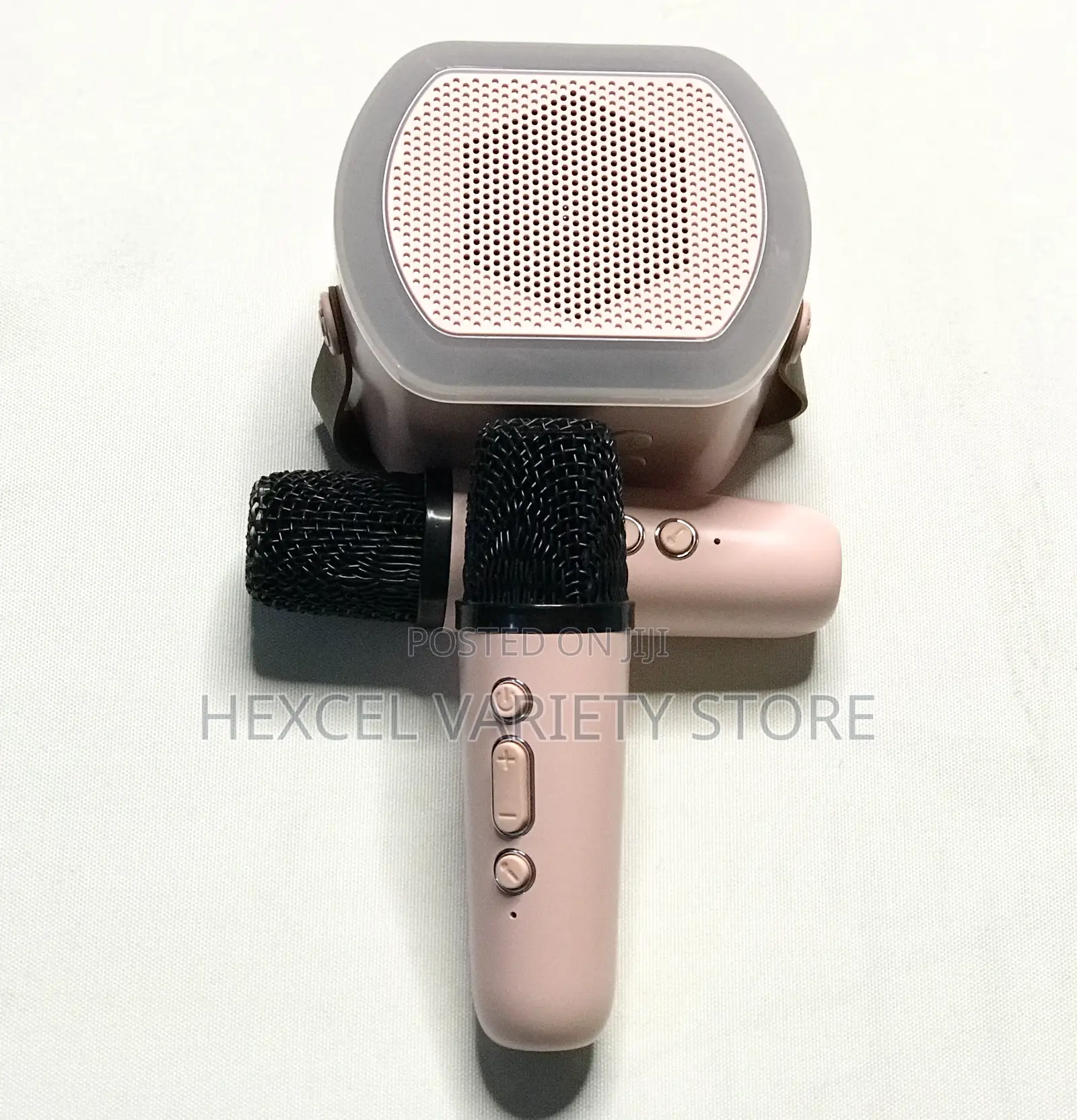 Portable Wireless Bluetooth Karaoke Speaker With 2 Microphones