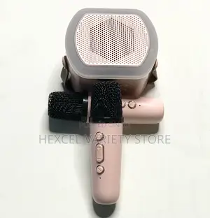 Portable Wireless Bluetooth Karaoke Speaker With 2 Microphones
