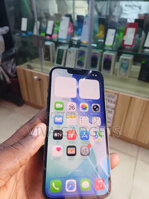 Apple iPhone 13 Pro 256 GB Gray