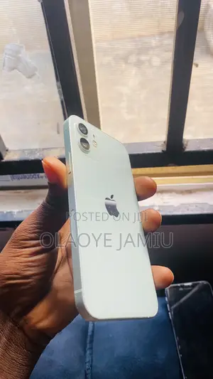 Apple iPhone 12 64 GB Green