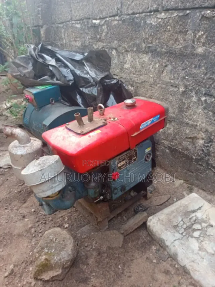 195 Diesel Generator Basic With a 10kva Alternator