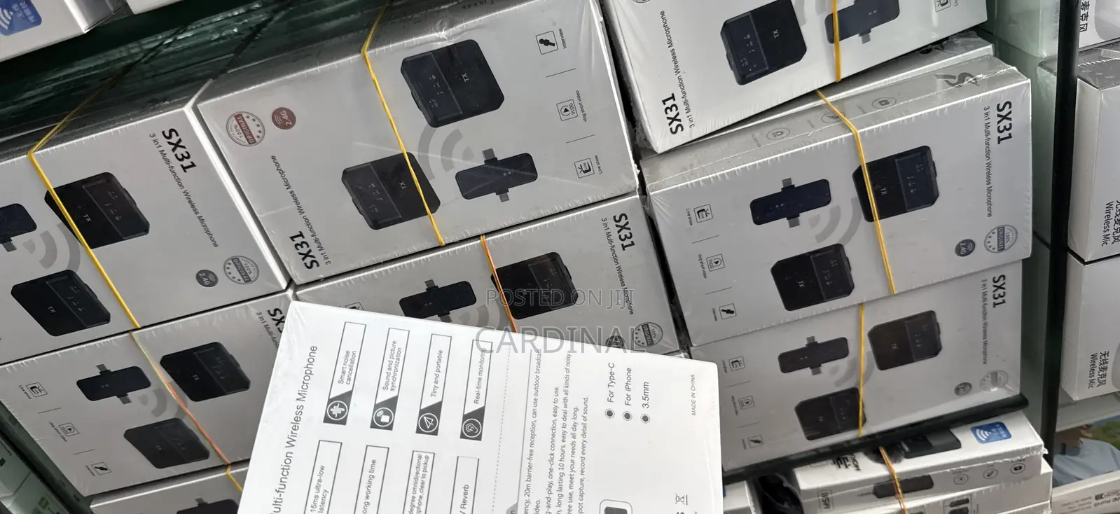 Sx31 Double Wireless Microphone