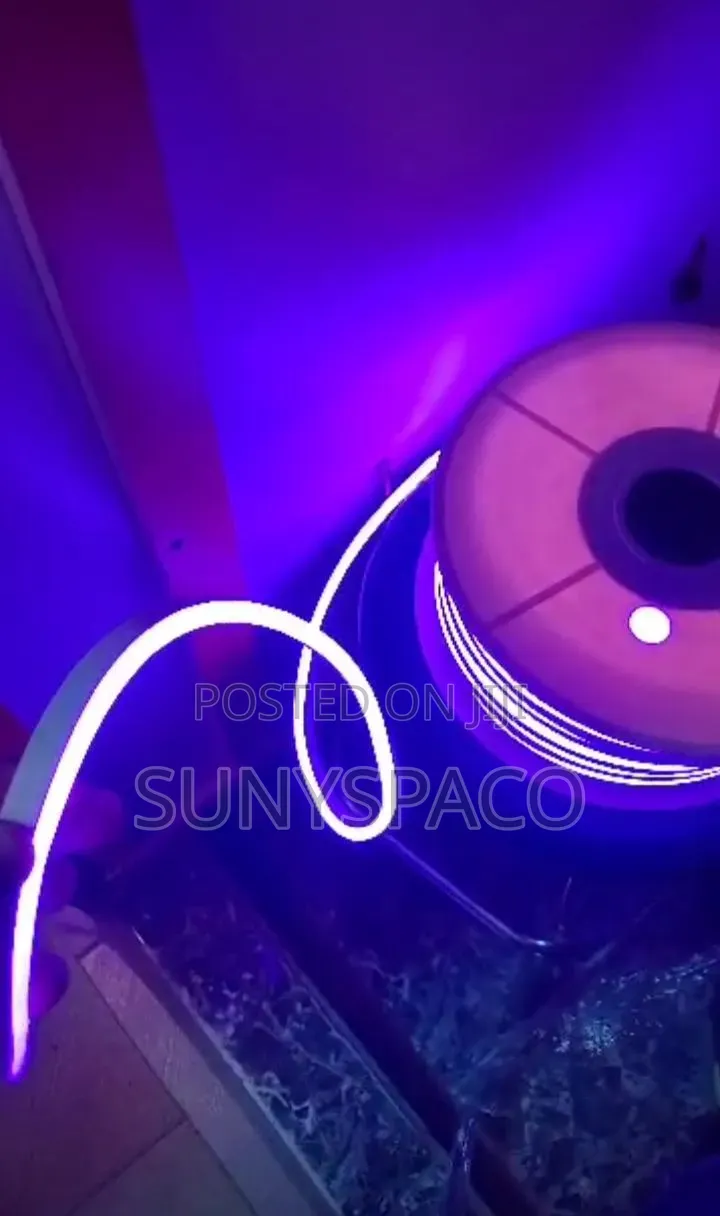 Purple Neon Strip Light