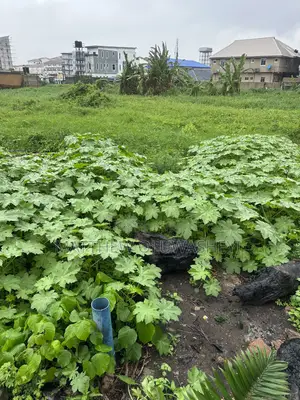 5 Plot Together for Sale in Yaba Lagos State Per
