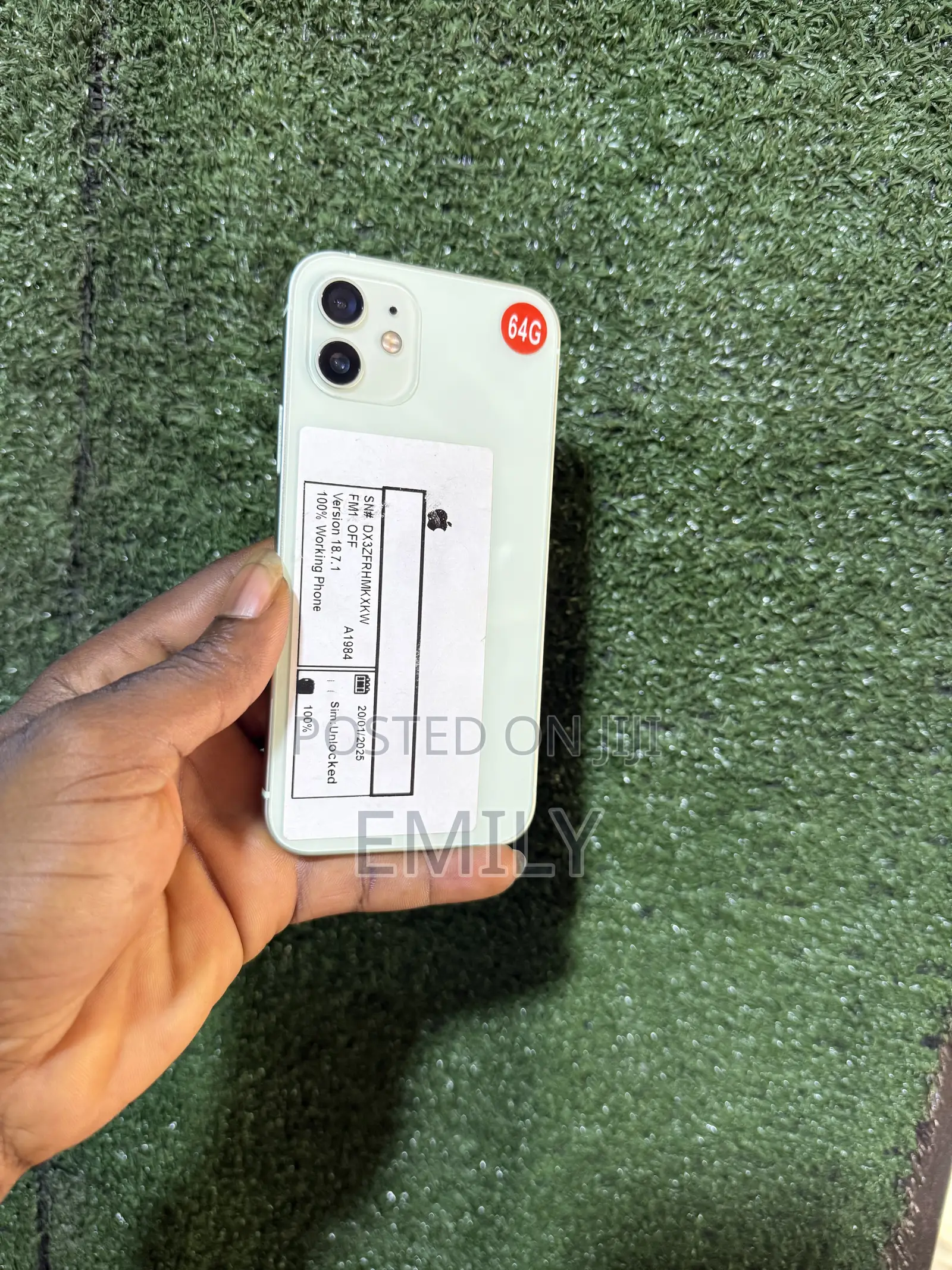 Apple iPhone 12 64 GB Green