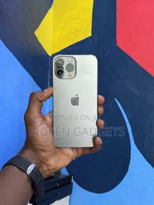 Apple iPhone 13 Pro Max 128 GB Gray