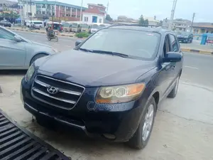 Hyundai Santa Fe 2007 Blue