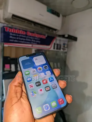 Apple iPhone 13 Pro 128 GB Gray