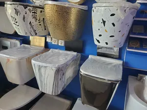 Latest Designer Wc
