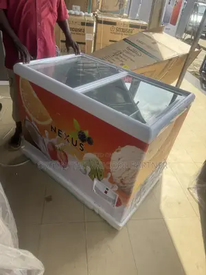 Nexus Ice Cream Freezer 300l