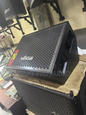 15 Inches Virgin Monitor (Feedback Speaker)