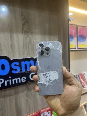 Apple iPhone 15 Pro Max 256 GB Gray