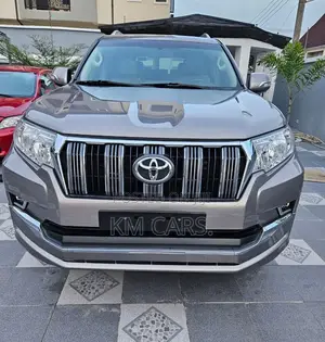 Toyota Land Cruiser Prado 2019 Gray