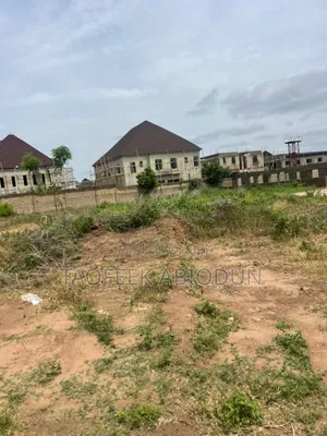 Landed Property for Sale Behind Elizabeth Estates Osogbo Osun State