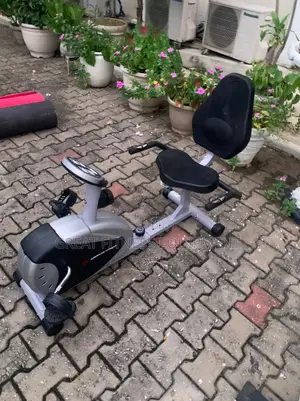 American Fitness Recumbent Bike