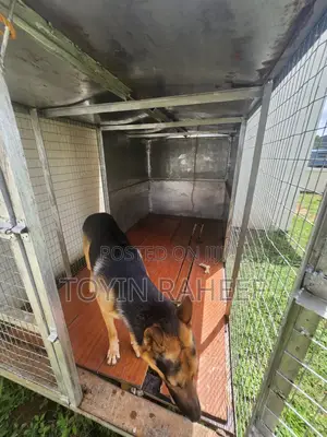 Large Pet House/ Cage