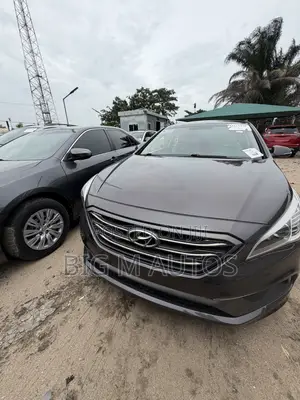 Hyundai Sonata 2016 Brown
