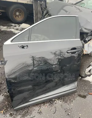 Complete Driver Side Door Rx350 2025