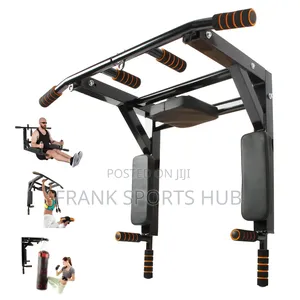 Sturdy Wall Mounted Pull Up Bar