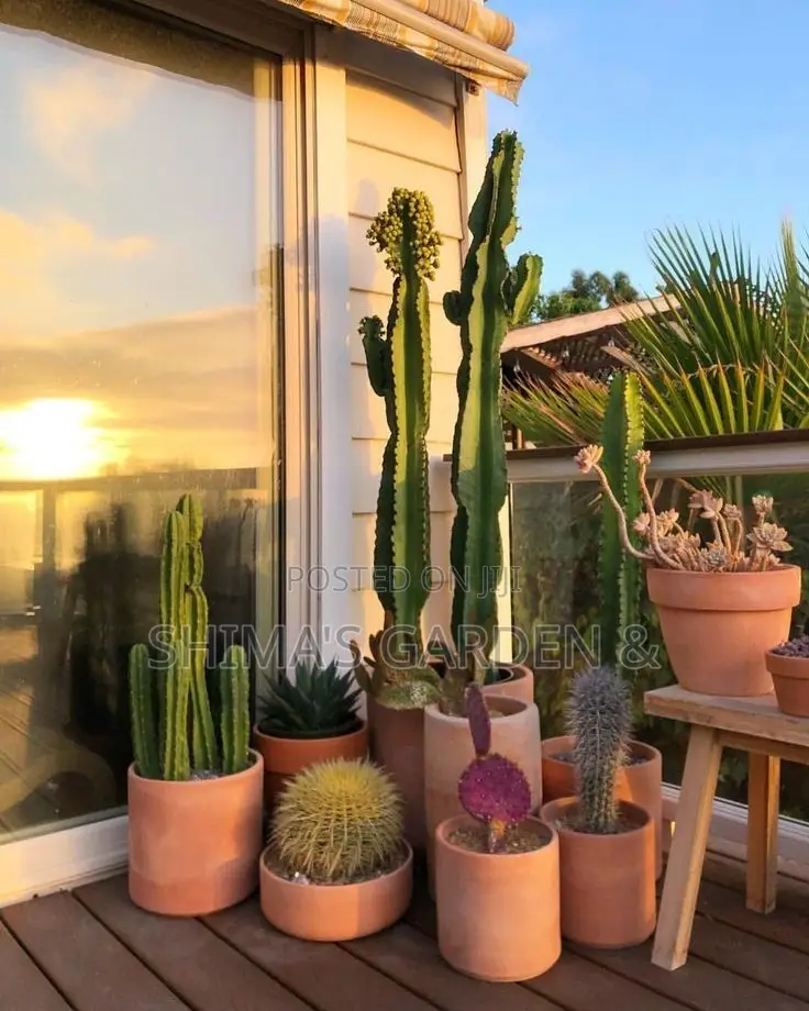 Horticultural Services