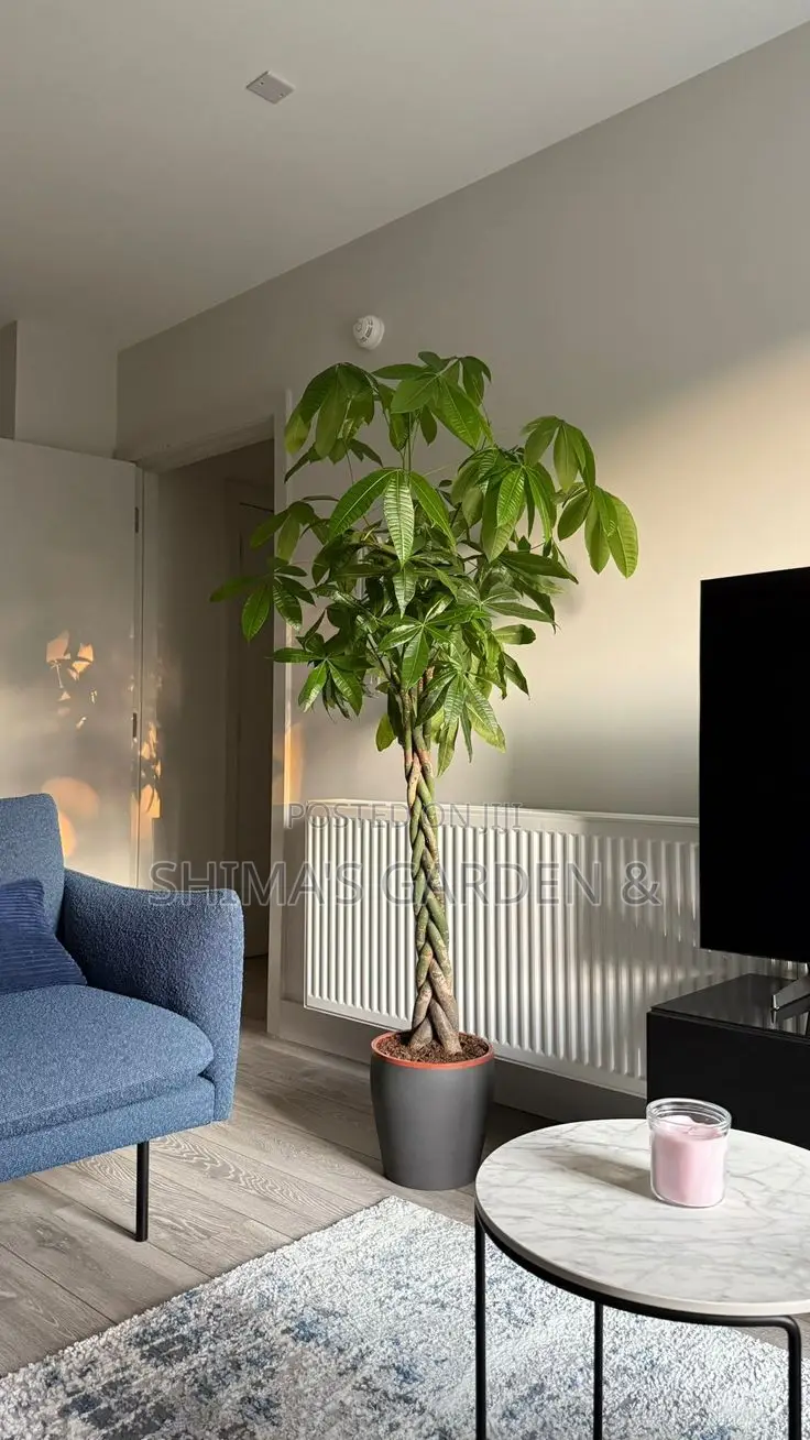 Horticultural Services