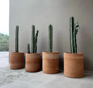 Horticultural Services