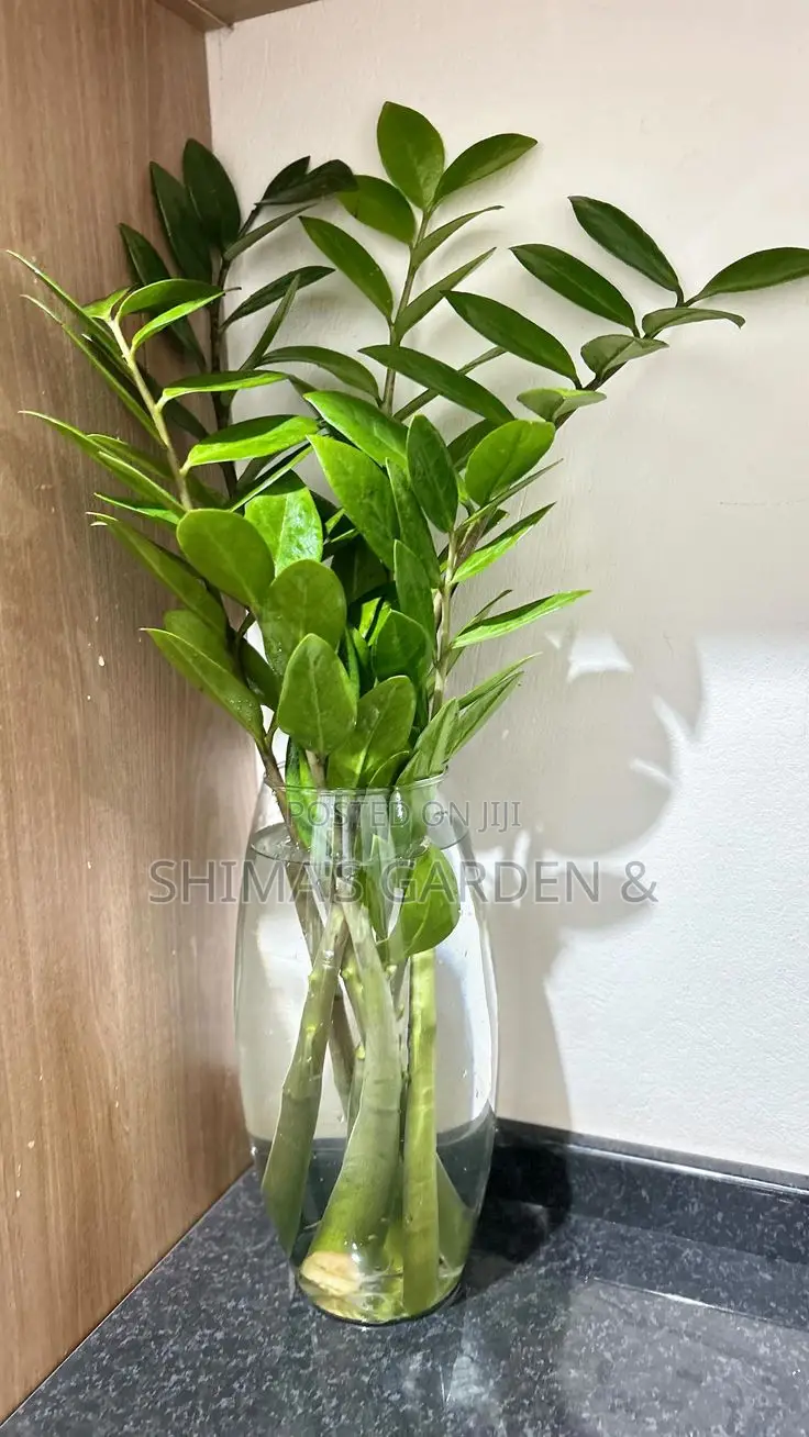 Horticultural Services