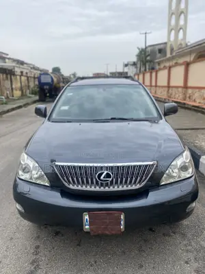 Lexus RX 350 2008 Gray