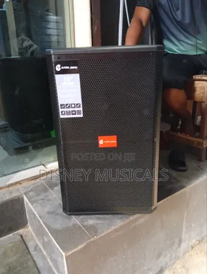 Classic Audio Acoustic Body Pa System