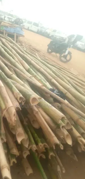 Man Quality Bamboo Stick