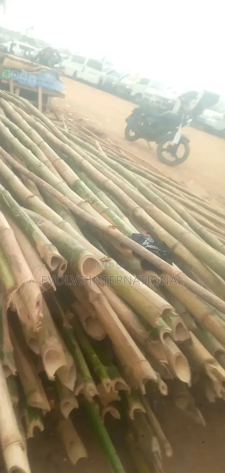 Man Quality Bamboo Stick