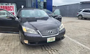 Lexus ES 350 2010 Gray